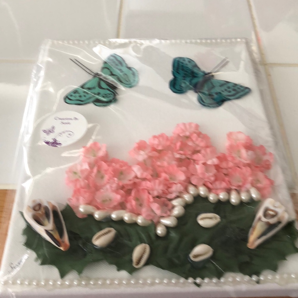 Butterflies & Shells